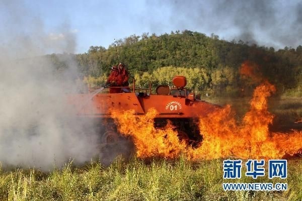 【動畫】森林草原防火“十不準(zhǔn)”“五不燒”！這些安全知識要牢記